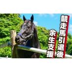 競走馬 支援 1万円 コース