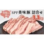 常陽さん家のSPF 美味豚 詰合せ 計 1.1kg