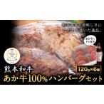 あか牛 100%ハンバーグ 120g×6個