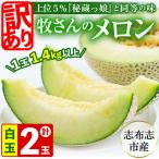 牧さんの訳ありメロン 白玉 青肉 計2玉