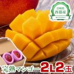 2026年発送 完熟マンゴー 2L×2玉