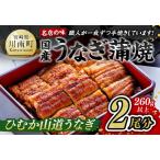ふるさと納税 名店の味 国産鰻 宮崎県産うなぎ蒲焼 2尾 (ウナギ260g以上)【鰻 うなぎ 国産 鰻 うなぎ 蒲焼き 鰻 うなぎ蒲焼 鰻 うなぎ 真空パッ.. 宮崎県川南町