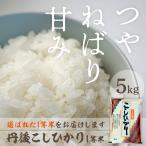 丹後コシヒカリ1等米令和8年産 5kgコシヒカリ