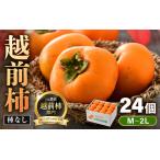 ふるさと納税 【先行予約】 越前柿 24個入 約4kg（M〜2L）≪JA受賞歴親子２代≫ ／ 果物 フルーツ 柿 産地直送 期間限定 あわら ※2026年11月.. 福井県あわら市