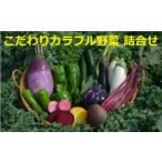 力丸さんのこだわりカラフル野菜