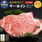 長谷川ビーフ 牛 サーロインステーキ ロース 470g