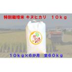 特別栽培米 キヌヒカリ 10kg