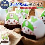 愛鶏園 ふっかちゃん愛たまご20個 白卵10個×2パック