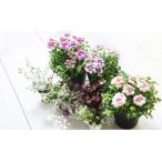 花のある暮らしで心もハッピー 季節の寄せ植え12カ月コース