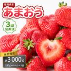 産あまおう 250g×4パック