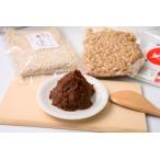 河村こうじ屋の手作り味噌キット2.6kg〈加熱処理済大豆使用…