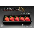 とちあいかDX BOX 5粒