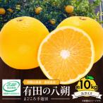 有田の八朔 はっさく 約10kg
