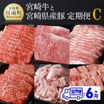 牛肉 豚肉 宮崎牛と 産豚肉 6ヶ月 定期便 C
