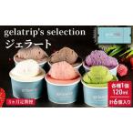 ジェラート gelatrip s selection