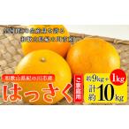 ふるさと納税 【先行予約】【訳あり/ご家庭用】八朔 はっさく紀の川 9kg+1kg 計約10kg サンファーム《2026年1月上旬-3月末頃出荷》ハッサク.. 和歌山県紀の川市