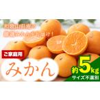 訳あり 和歌山 みかん約5kgサンファーム
