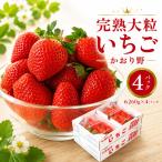 いちご 食べ比べ セット 4パック