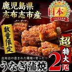 うなぎの大楠 2尾セット計380g以上 190g×2