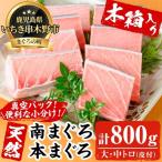 天然 マグロ 天然南マグロと本マグロ 800g