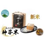新米神子米500g×4袋計2kgみことまい