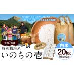 ふるさと納税 令和7年�
