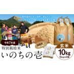 ふるさと納税 令和7年�