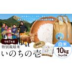 ふるさと納税 令和7年�