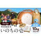 ふるさと納税 令和7年�