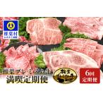 総重量3.1kg 椎葉プレミアム牛満喫定期便