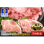 総重量1.8kg 椎葉プレミアム牛 大自然の中で味わうBBQ定期便