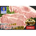総重量800g 椎葉プレミアム牛ステーキ定期便