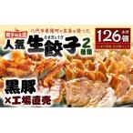 ふるさと納税 【順次発送】 八代市東陽町の生姜を使った 餃子の王国 人気生餃子126個 餃子 ぎょうざ 人気の餃子 生餃子 生ぎょうざ 生姜 生姜.. 熊本県八代市