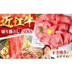 ふるさと納税 近江牛 すき焼き用 切り落し 500g 元三フード 近江牛 [BIBH005] 滋賀県栗東市