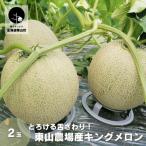 とろける舌触り 東山農場産キングメロン 2玉
