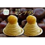 fu.... налог мир каштан Montblanc 2 шт. комплект Tanba каштан конфеты низкотемпературный .. каштан использование местного производства .. каштан Kyoto столица Tanba . толщина . данный земля гурман ваш заказ подарок ... Kyoto (столичный округ) столица Tanba блок 