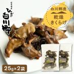 乾燥きくらげ 2袋セット 白川郷 キクラゲ