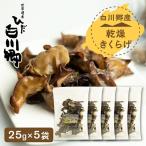 乾燥きくらげ 5袋セット 白川郷 キクラゲ