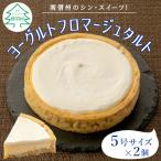 さくさく 大 ★ヨーグルトフロマージュタルト 2箱