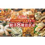 ショッピング餃子 ふるさと納税 【順次発送】 八代市東陽町の生姜を使った 餃子の王国 餃子 8種詰合せ 生餃子 熊本県八代市