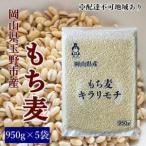 お米 もち麦 米 キラリモチ 950g×5袋