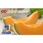 ふるさと納税 【2026年8月発送】JAふらの 赤肉メロン 2玉 計3.2kg 富良野市 メロン フルーツ 果物 北海道富良野市