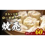 焼売 ローズポーク焼売 60個