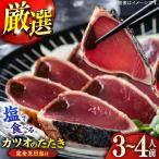 高知厳選1本釣り本わら焼き 田野屋銀象シリーズ