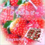 いちご好きのためのいちご ブランドいちご