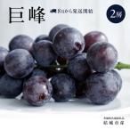 巨峰 2房 共通返礼品 ぶどう フルーツ 果物