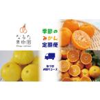 ショッピングふるさと納税 定期便 ふるさと納税 【定期便3回】なるた果樹園 みかん 定期便 A ぽんかん 土佐文旦 温州みかん ぶんたん 文旦 果物 フルーツ 3回 季節 高知 宿毛 みか.. 高知県宿毛市