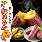 北山さんちのさつまいも 紅はるか 7kgさつまいも