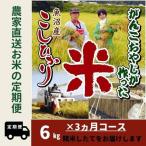 3か月定期便 がんこおやじが作った南魚沼産コシヒカリ白米6…