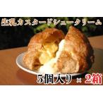 シュークリーム 2箱